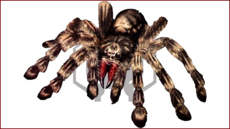 Giant Spider (Marcus)