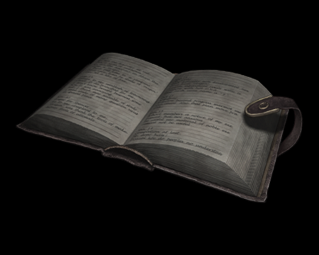 JOURNAL DE MARCUS 1 (RE0) (©EvilResource)