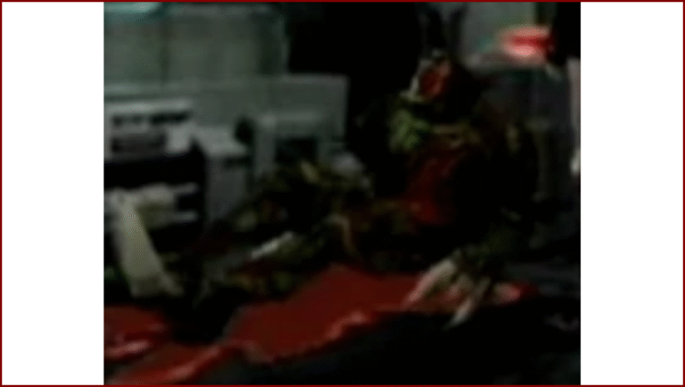 Resident Evil 2 (1998)/Biohazard 2 (1998)