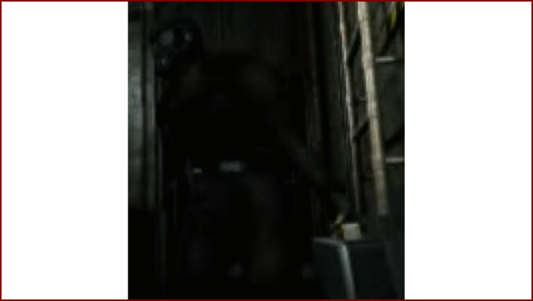 Resident Evil 2 (1998)/Biohazard 2 (1998) (Potentiellement)