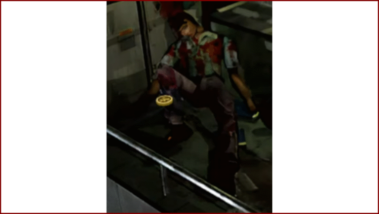 Resident Evil 2 (1998)/Biohazard 2 (1998)