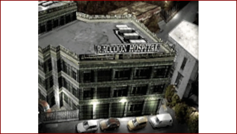 Raccoon General Hospital (2)