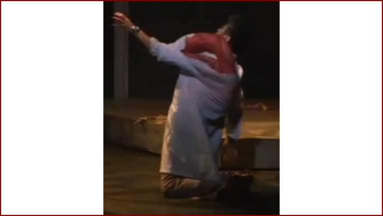 Biohazard The Stage (Resident Evil) (2)