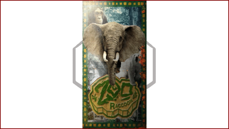 Fascicule du Zoo de Raccoon