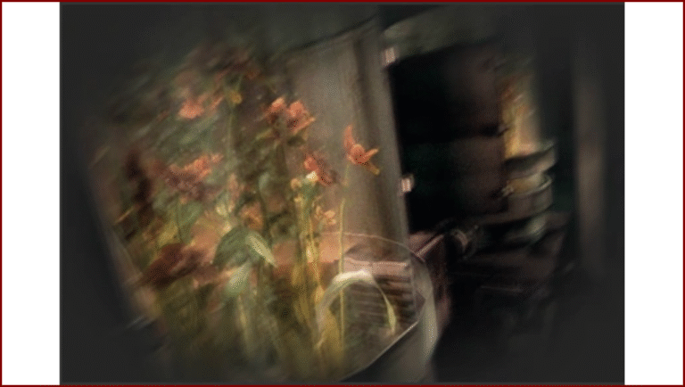 ANALYSE D'UNE PHOTO PROVENANT D'UN LIEU INCONNU (Bureau Informatique du B.S.A.A.)