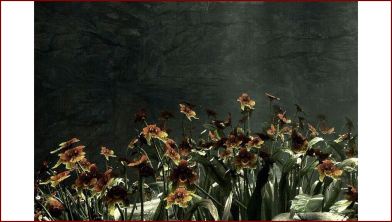 Resident Evil 5/Biohazard 5