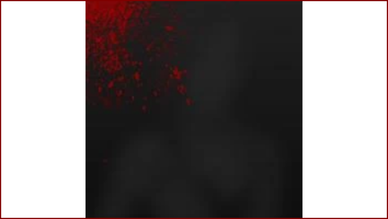 Bureau Informatique du B.S.A.A. (Resident Evil – BIOHAZARD)