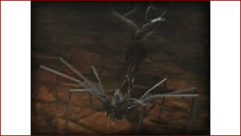 PLAGA (Bureau Informatique du B.S.A.A.)