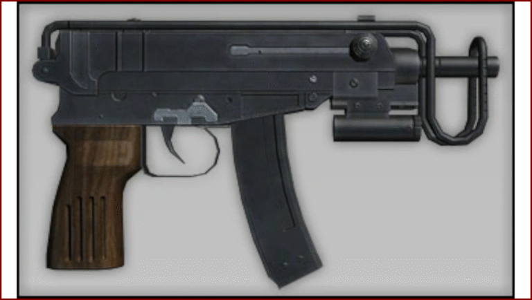 VZ61 (Bureau Informatique du B.S.A.A.) (1)