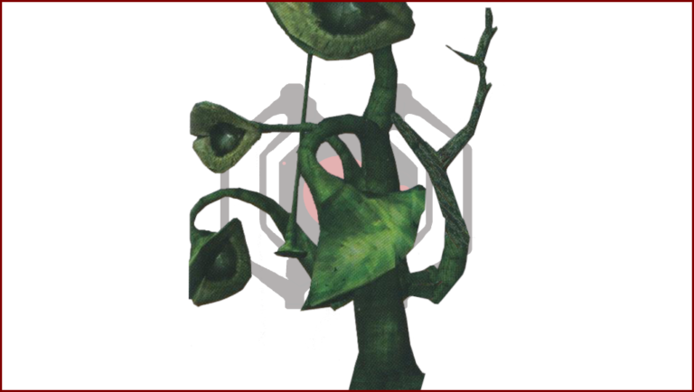 Drainer (Dorothy Plant)