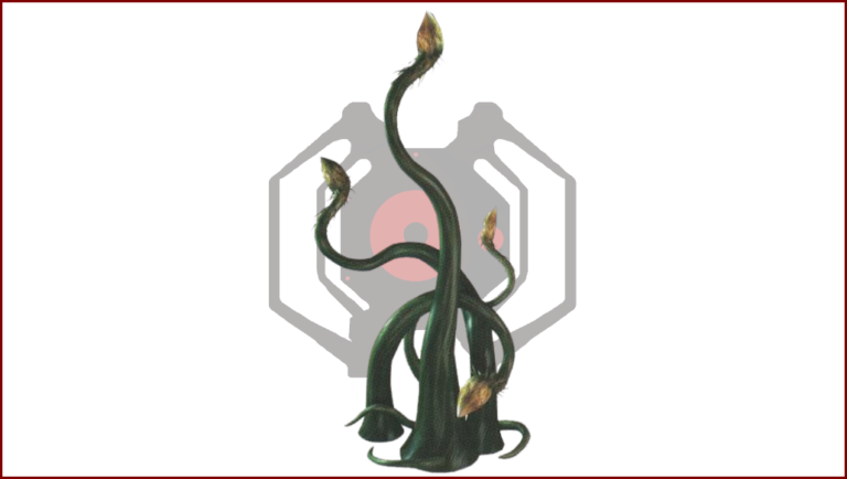 Twist Upper (Dorothy Plant)