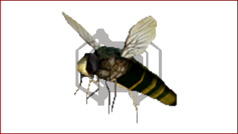 Resident Evil Outbreak FILE #2/Biohazard Outbreak FILE 2