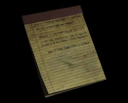 JOURNAL D'ISAAC GRAVE (RE3 (2020)) (©EvilResource)