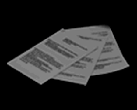 RAPPORT DU GERANT (RE3 (1999)) (©EvilResource)