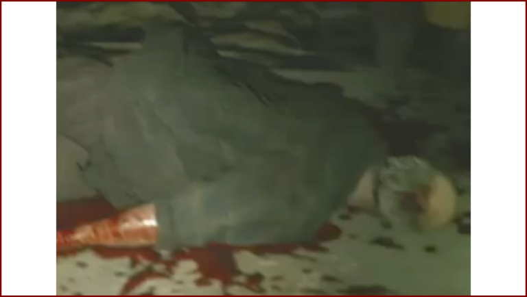 Resident Evil 3 (2020)/Biohazard RE:3 (2020) (Potentiellement)