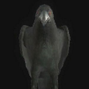 CORBEAU (Ennemis) (RE The Darkside Chronicles)
