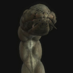 GULP WORM (Ennemis) (RE The Darkside Chronicles)