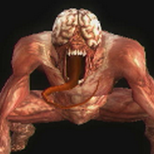 LICKER (Ennemis) (RE The Darkside Chronicles)