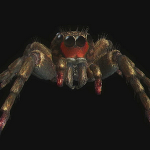 MANEATER SAUTEUR (Ennemis) (RE The Darkside Chronicles)