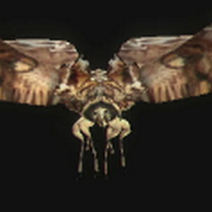 PAPILLON GEANT (Ennemis) (RE The Darkside Chronicles)