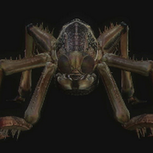 PLAGUE CRAWLER (Ennemis) (RE The Darkside Chronicles)