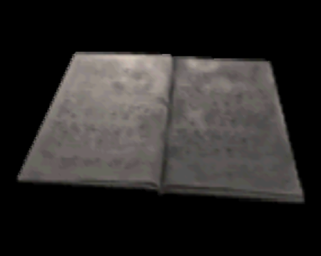 JOURNAL D'UN JEUNE DETENU (RE Survivor) (©EvilResource)