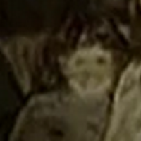 Lisa Trevor (RE1 2002) (2)